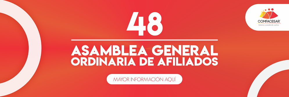 Asamblea48